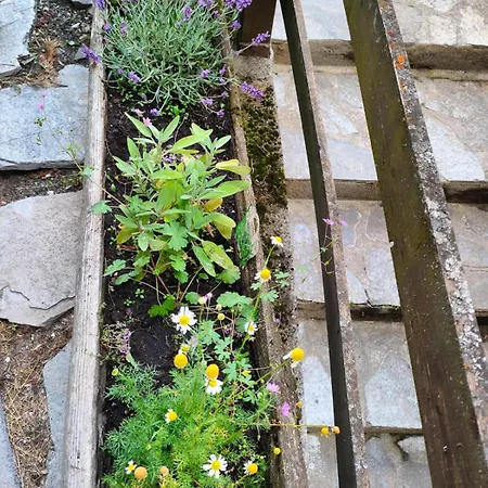 Lägenhet Accogliente Casa Con Giardino