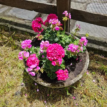 Accogliente Casa Con Giardino Lägenhet